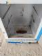 Horno farmacutico para esterilizacin y secado Tecnal