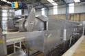 Freidora continua para lneas de fritura 350 kg MCI