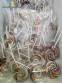 Industria de fabricaci�n de paletas de colores, chupetes, tweeps, caramelos y deliciosas golosinas.