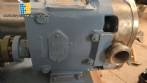Bomba lobular en acero inoxidable 316 Waukesha Cherry Burrell