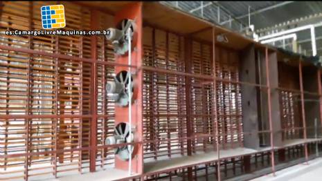 L�nea para fideos brasninho Braibanti