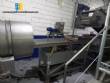 Lnea para la fabricacin de papas fritas y chips MCI