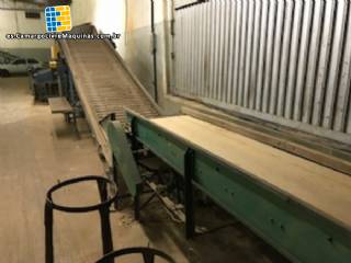 Limpiador y clasificador de cebolla Barana