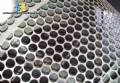 Lnea de chips para 250 kg