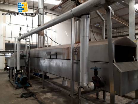 L�nea continua para patatas chips y paja MCI