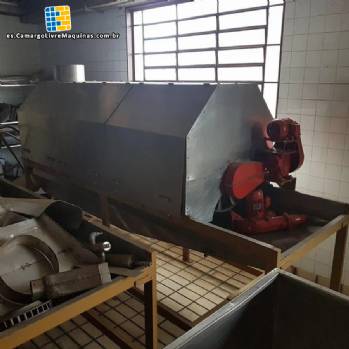 Línea de chips para 250 kg Línea de chips para 250 kg